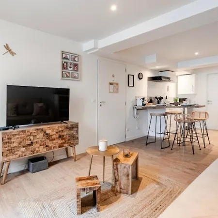L'echappee Belle Appartement Vienne (Isere)